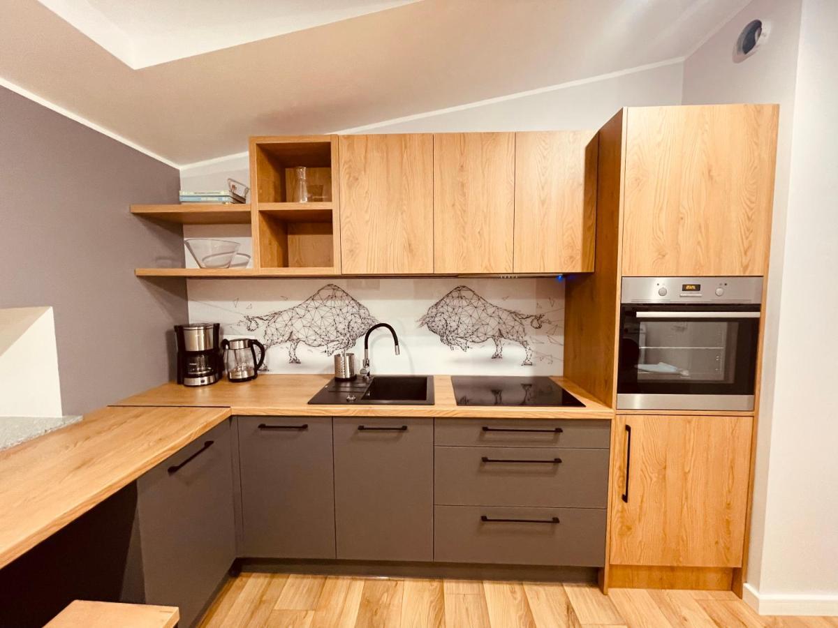Apartamenty Ktw Kosciuszki 41 - Sky & Design كاتوفيتسه المظهر الخارجي الصورة