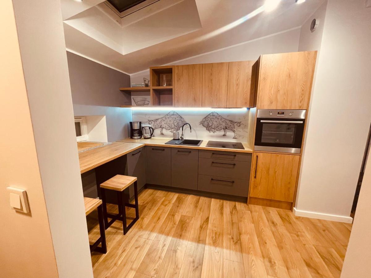 Apartamenty Ktw Kosciuszki 41 - Sky & Design كاتوفيتسه المظهر الخارجي الصورة